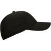 Swix-Carbon Cap-46536-Sporten Bagn-2