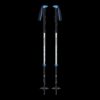 Black-Diamond-EXPEDITION-2-PRO-SKI-POLES-BD111590-Sporten-Bagn-1