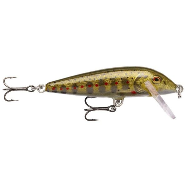 Rapala-COUNTDOWN-S-5CM-GJTR-101081-Sporten-Bagn-1