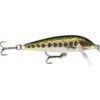 Rapala-CountDown 7cm 8g MD-101107-Sporten Bagn-1