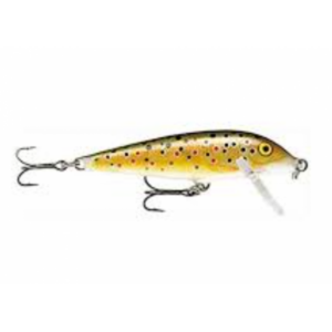 Rapala-Countdown S 5cm Tr-585426-Sporten Bagn-1