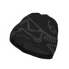 ArcTeryx ArcTeryx Bird Head Toque X000006756 Sporten Bagn 1