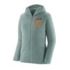 Patagonia Patagonia W´S R1 Air Full-Zip Hoody P40260 Sporten Bagn 1