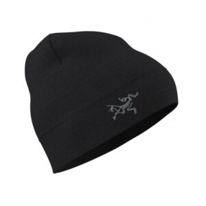 ArcTeryx ArcTeryx Rho Lightweight Wool Toque 29580 Sporten Bagn 1